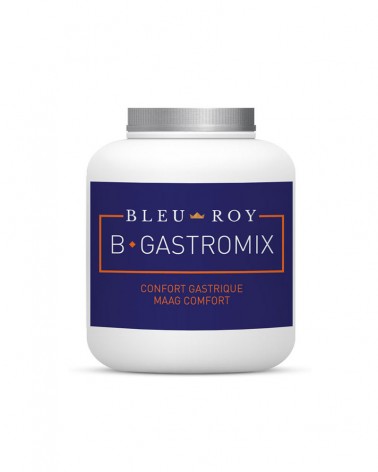 Complément alimentaire pour le confort gastrique B-GASTROMIX